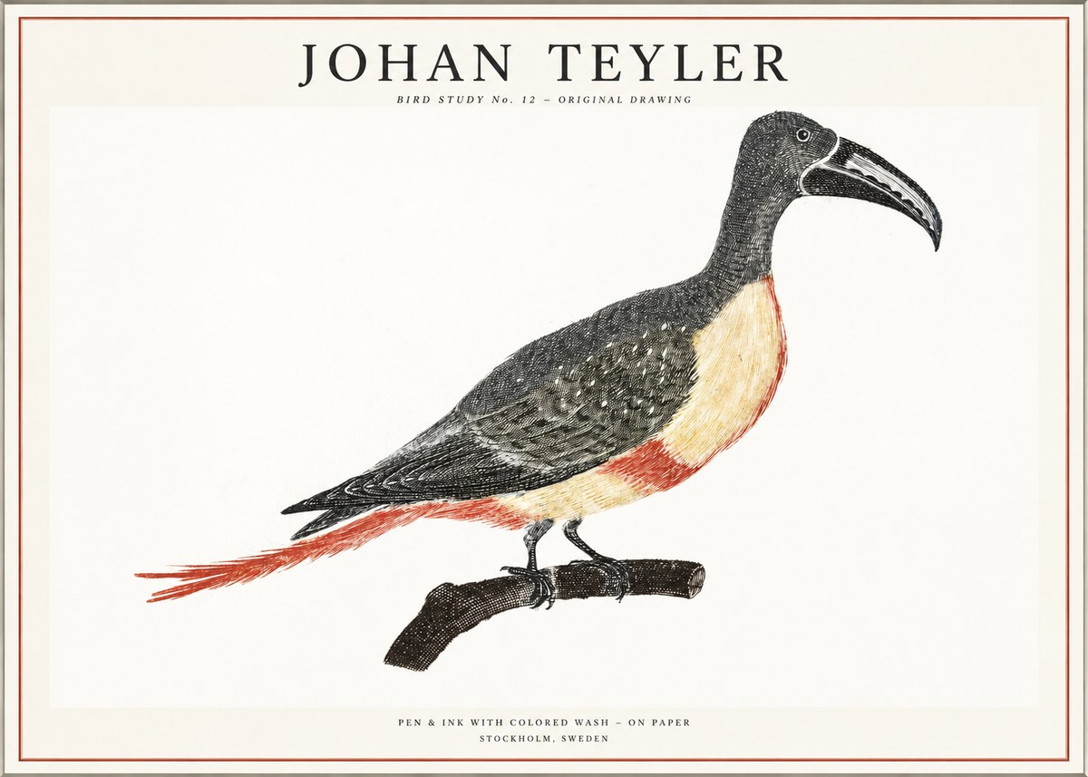 Johan Teyler Bird Study No. 12 - Original Drawing No1 - Affiche
