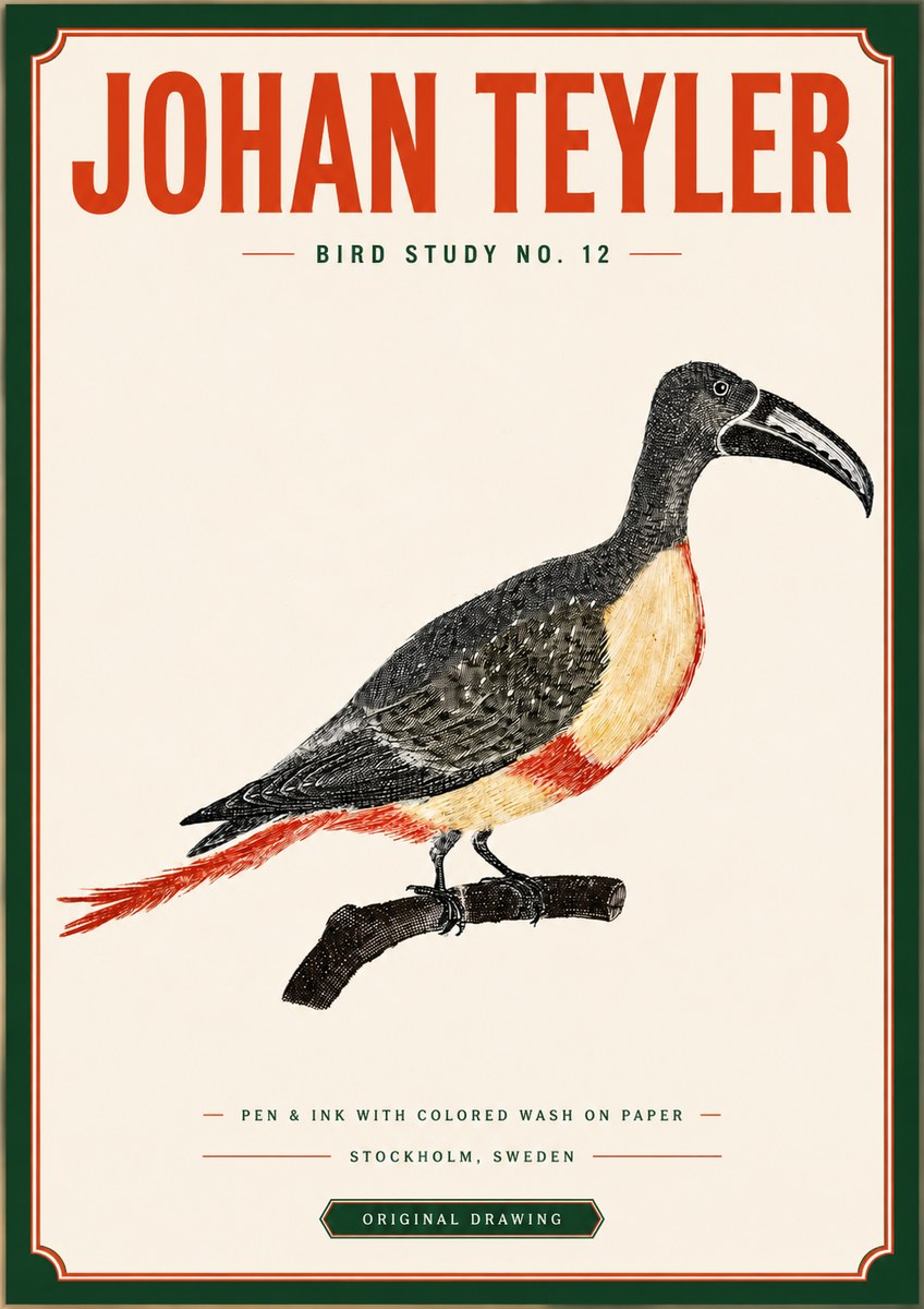 Johan Teyler Bird Study No. 12 - Original Drawing No3 - Affiche