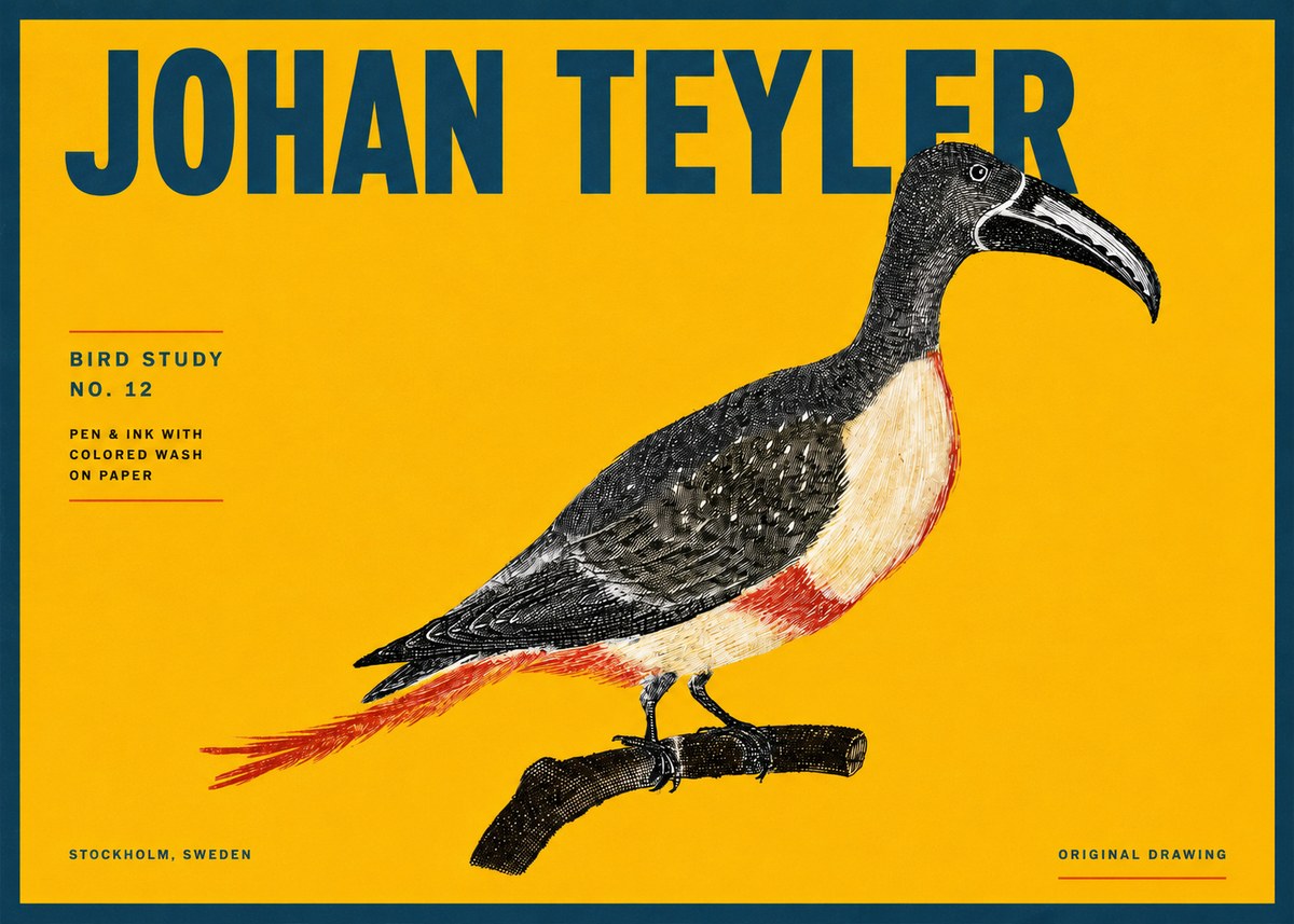 Johan Teyler Bird Study No. 12 - Original Drawing No4 - Affiche