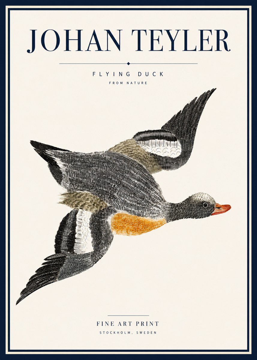 Johan Teyler Flying Duck No5 - Affiche