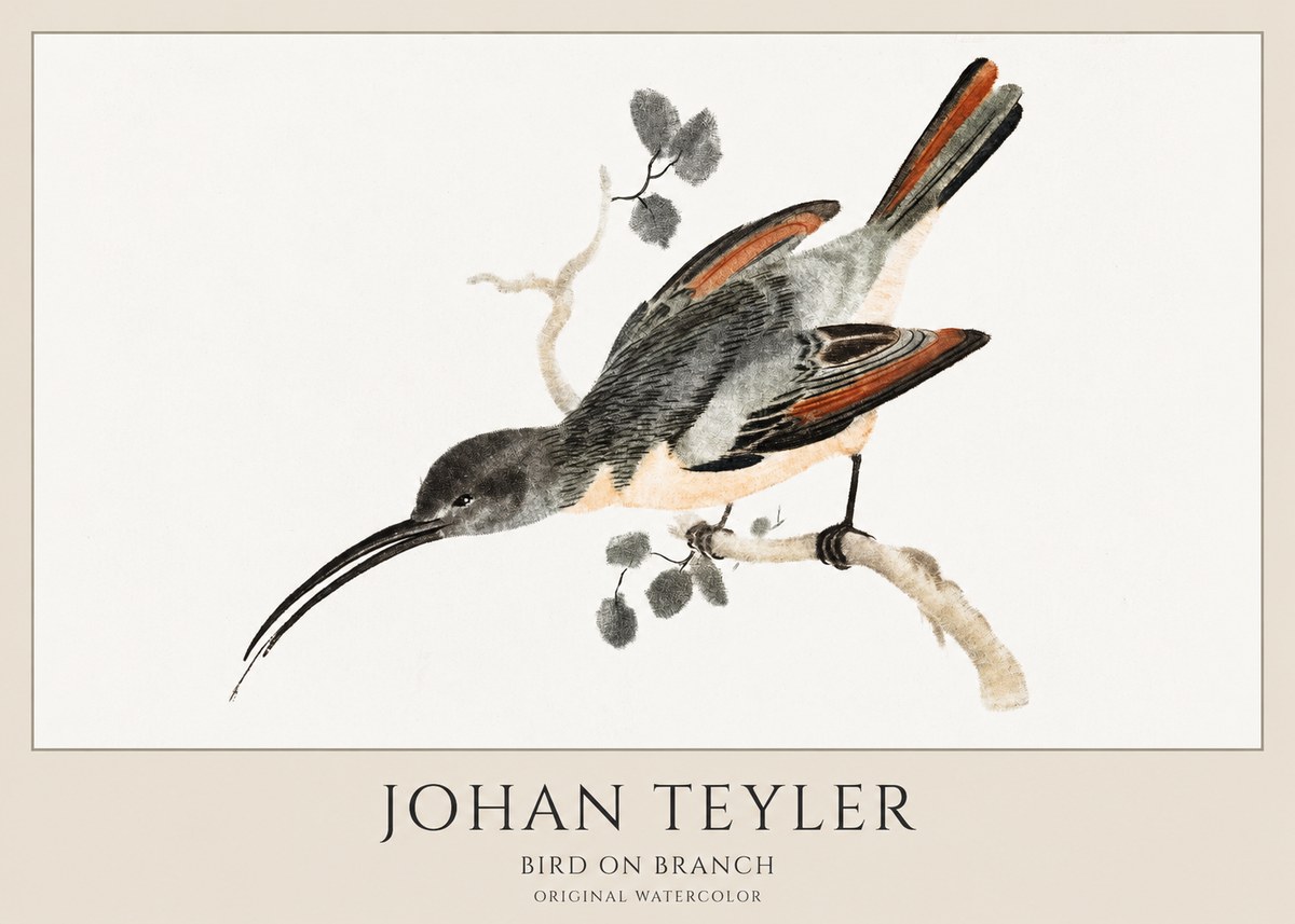 Johan Teyler Bird on Branch II No1 - Affiche