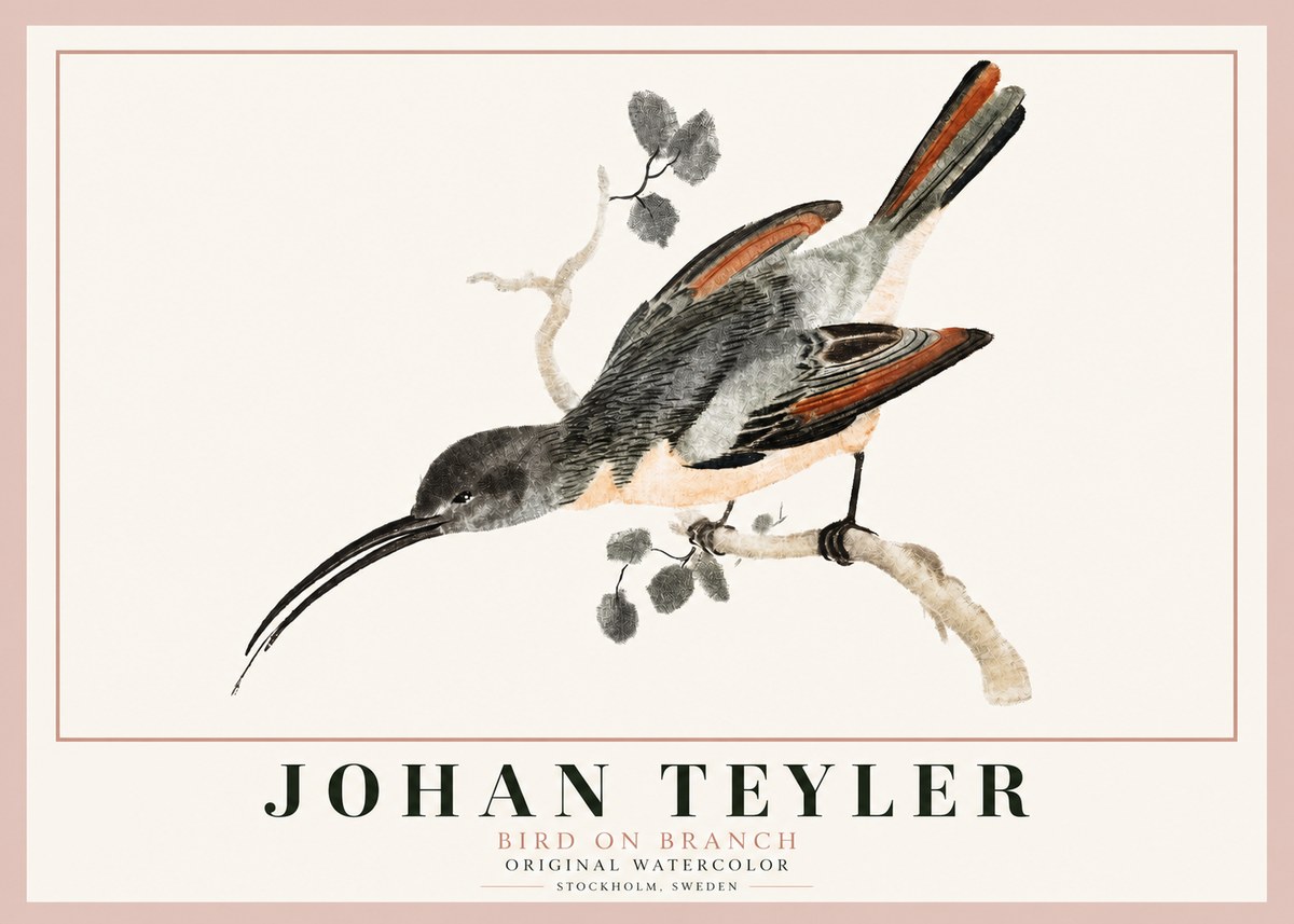 Johan Teyler Bird on Branch II No3 - Affiche