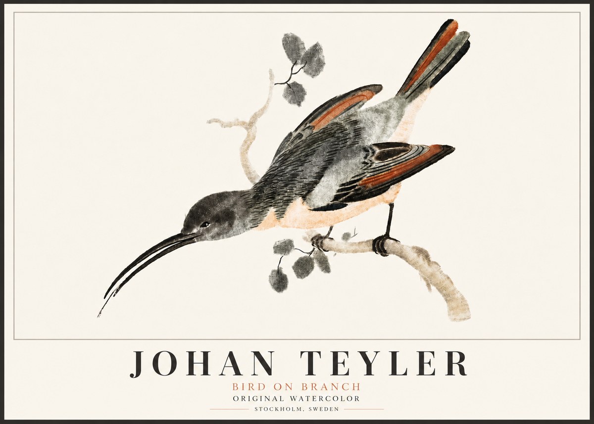 Johan Teyler Bird on Branch II No5 - Affiche