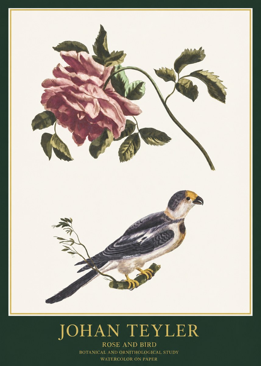 Johan Teyler Rose and Bird I No1 - Affiche