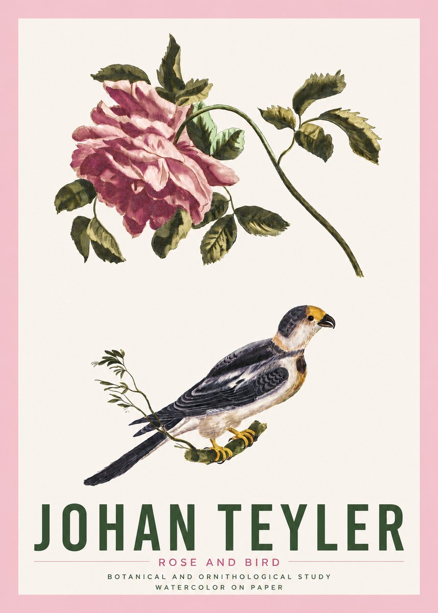 Johan Teyler Rose and Bird I No4 - Affiche