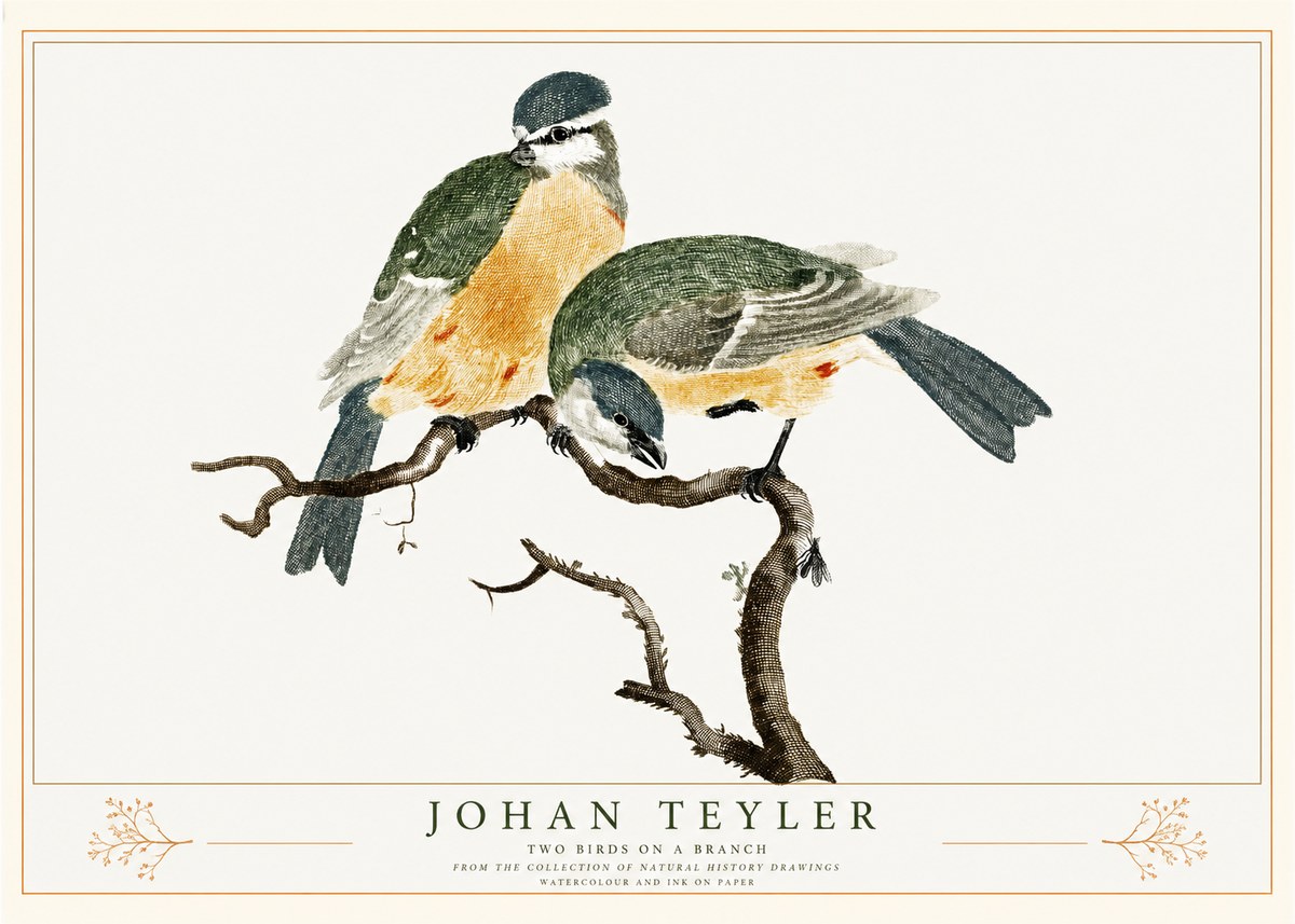 Johan Teyler Two Birds on a Branch No2 - Affiche