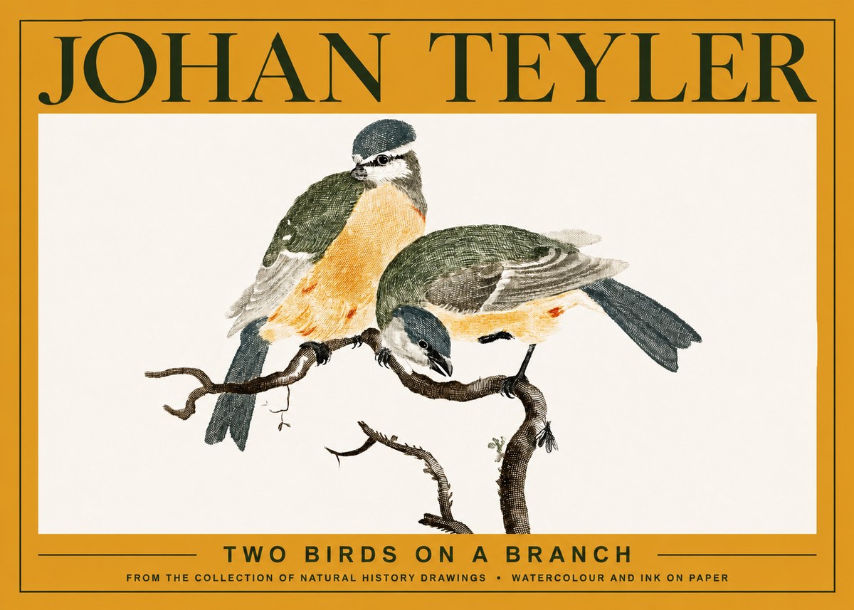 Johan Teyler Two Birds on a Branch No3 - Affiche