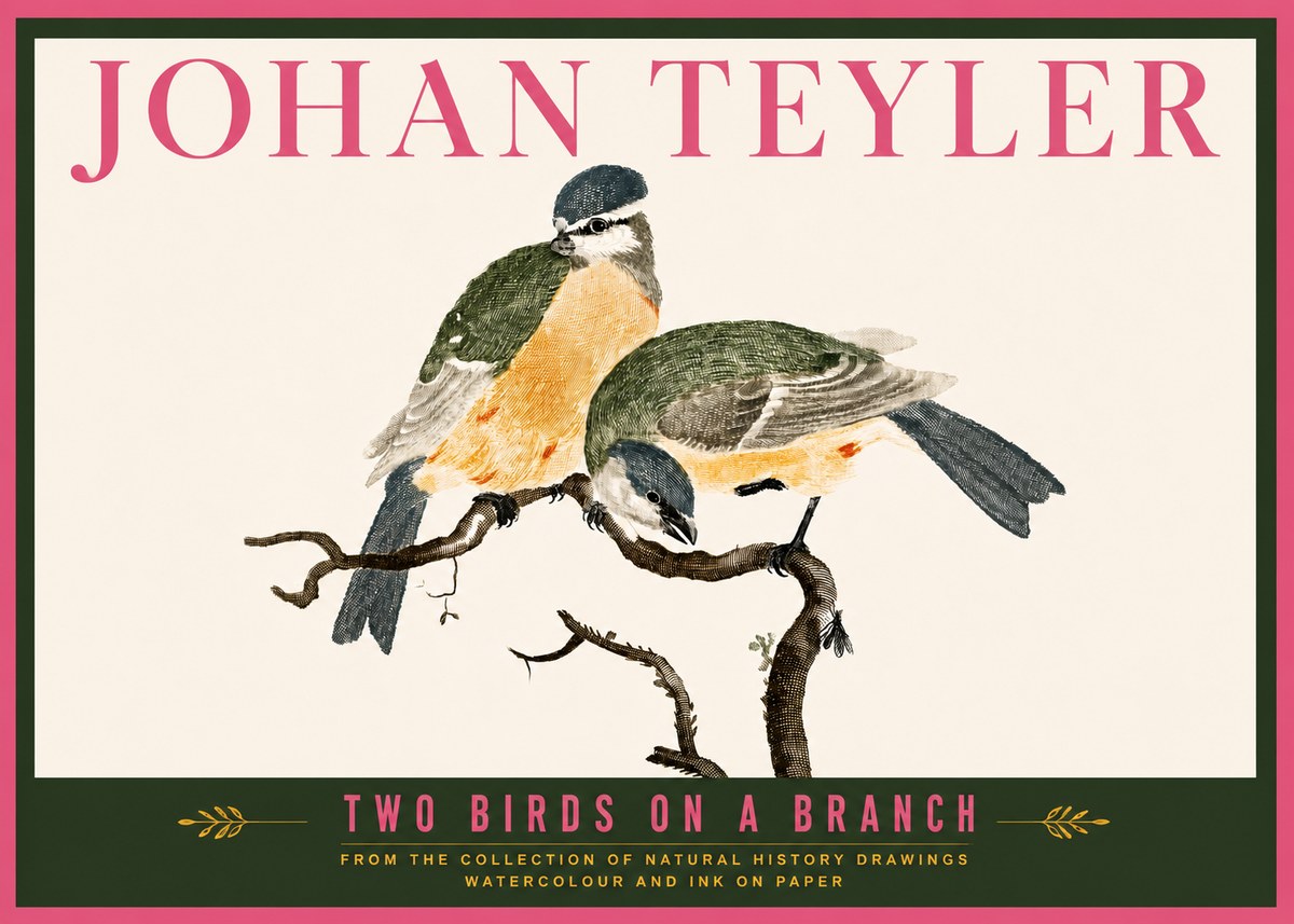 Johan Teyler Two Birds on a Branch No6 - Affiche