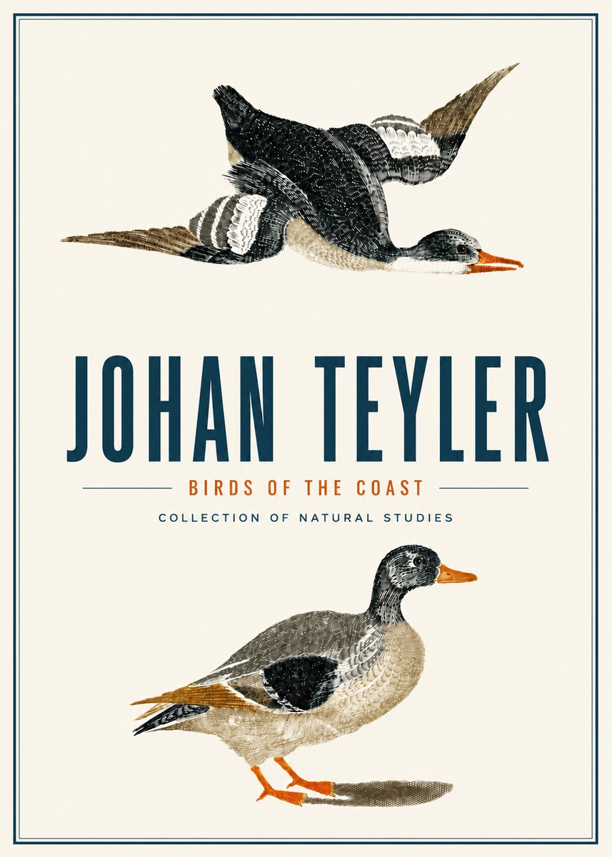 Johan Teyler Birds of the Coast No4 - Affiche