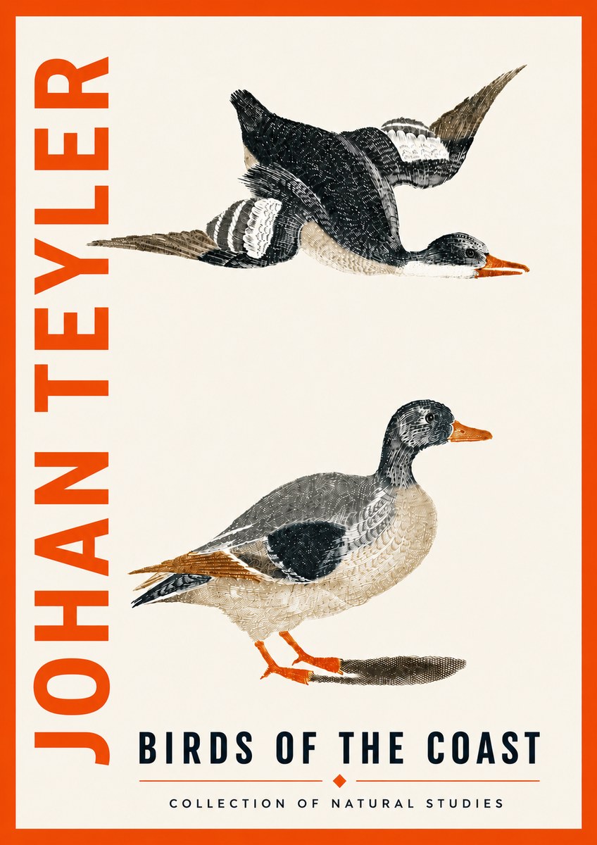Johan Teyler Birds of the Coast No5 - Affiche