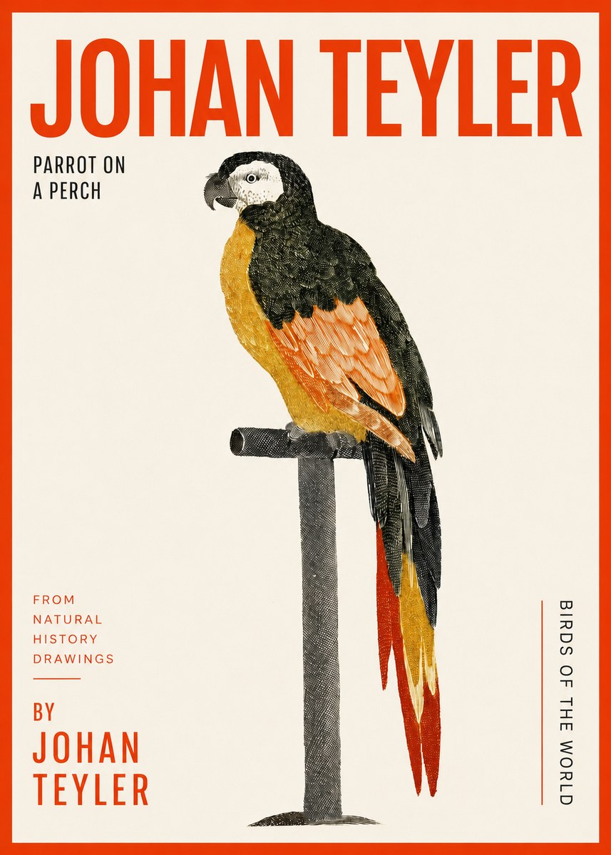 Johan Teyler Parrot on a Perch No2 - Affiche