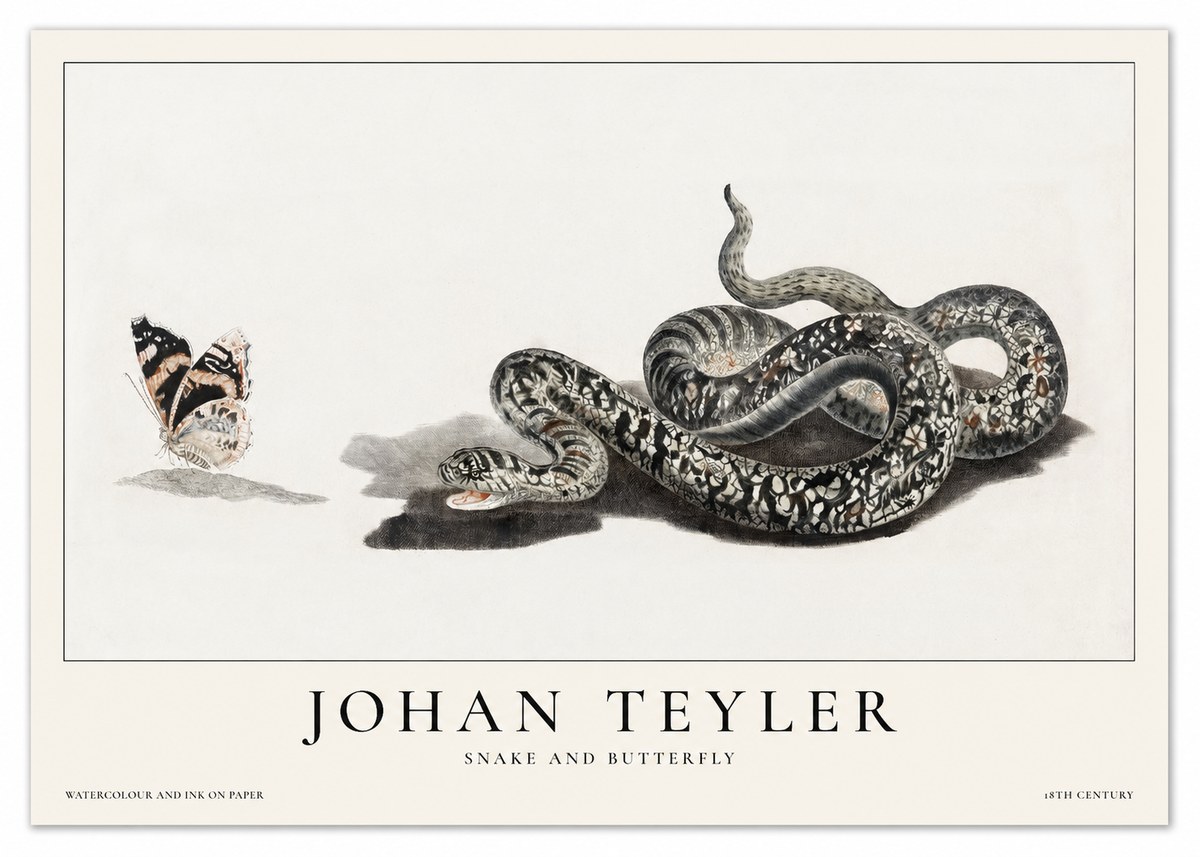 Johan Teyler Snake and Butterfly No1 - Affiche