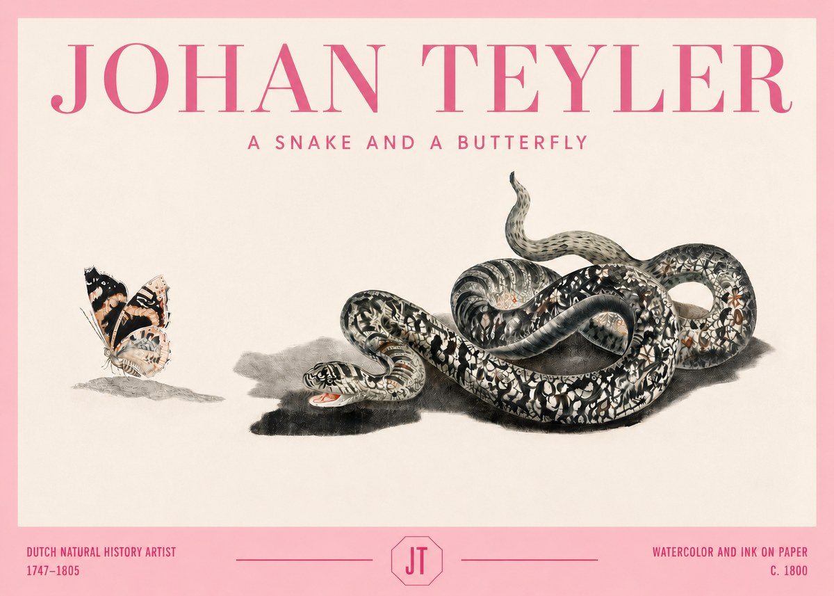 Johan Teyler Snake and Butterfly No4 - Affiche