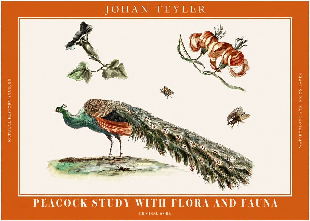 Johan Teyler Peacock Study with Flora and Fauna No2 - Affiche