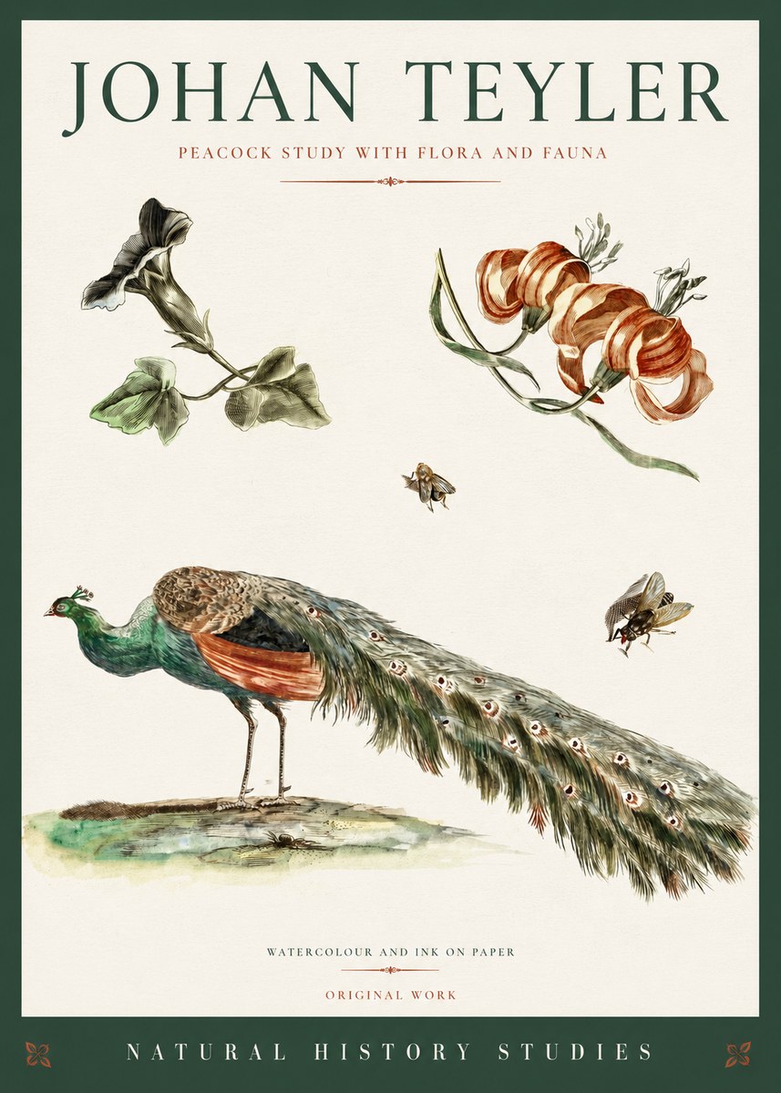 Johan Teyler Peacock Study with Flora and Fauna No3 - Affiche