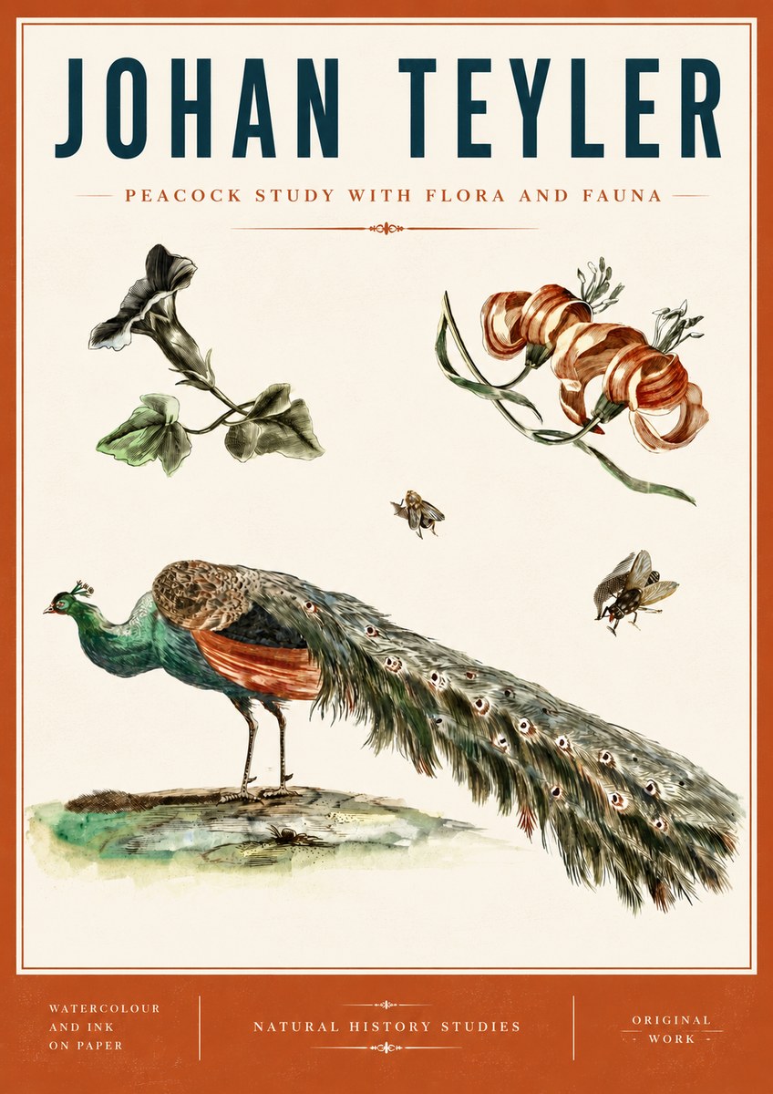 Johan Teyler Peacock Study with Flora and Fauna No6 - Affiche