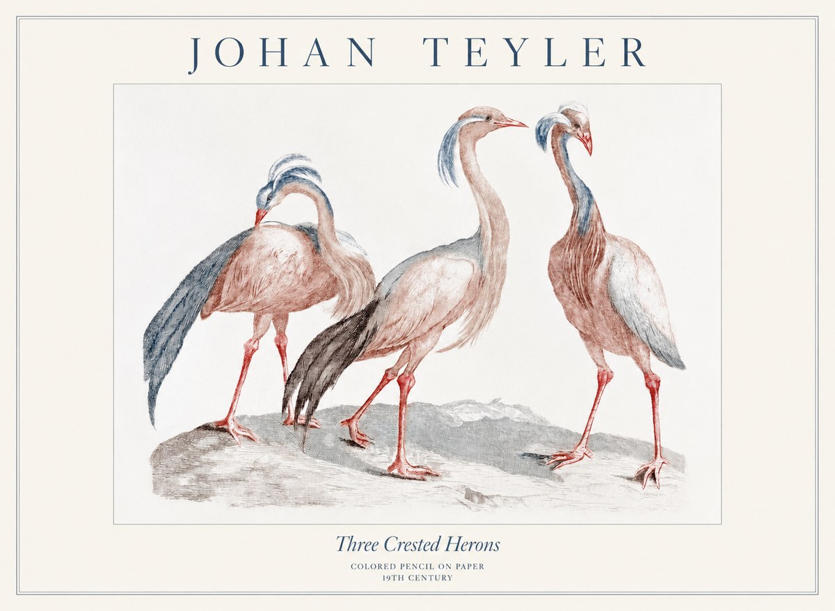 Johan Teyler Three Crested Herons No1 - Affiche