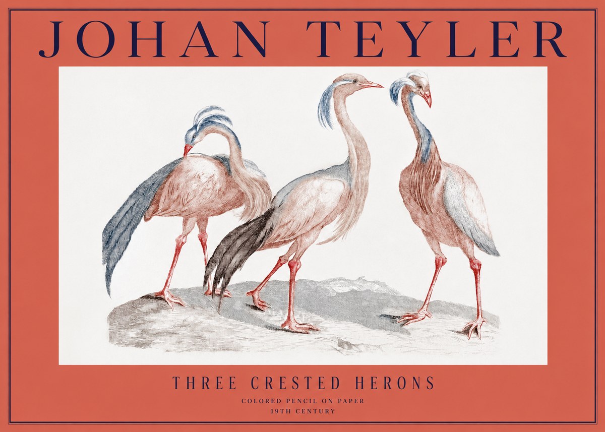Johan Teyler Three Crested Herons No2 - Affiche