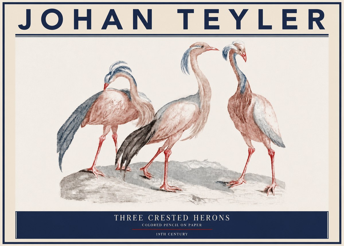 Johan Teyler Three Crested Herons No3 - Affiche