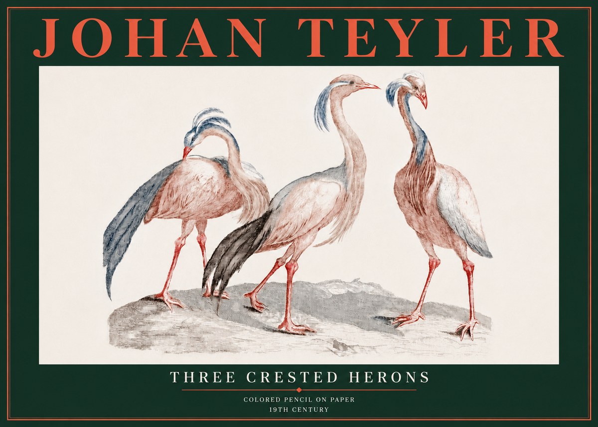 Johan Teyler Three Crested Herons No5 - Affiche