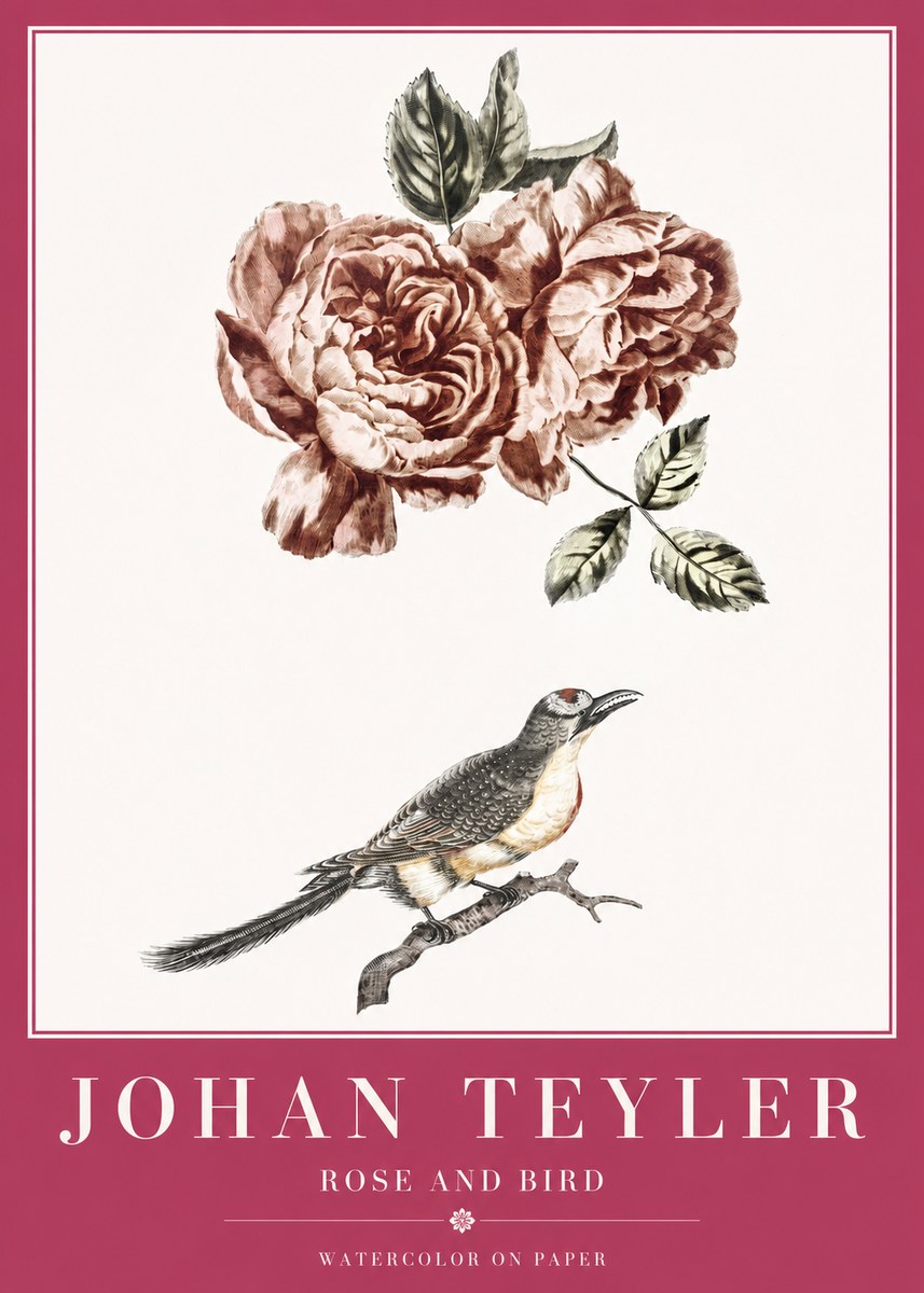 Johan Teyler Rose and Bird II No2 - Affiche