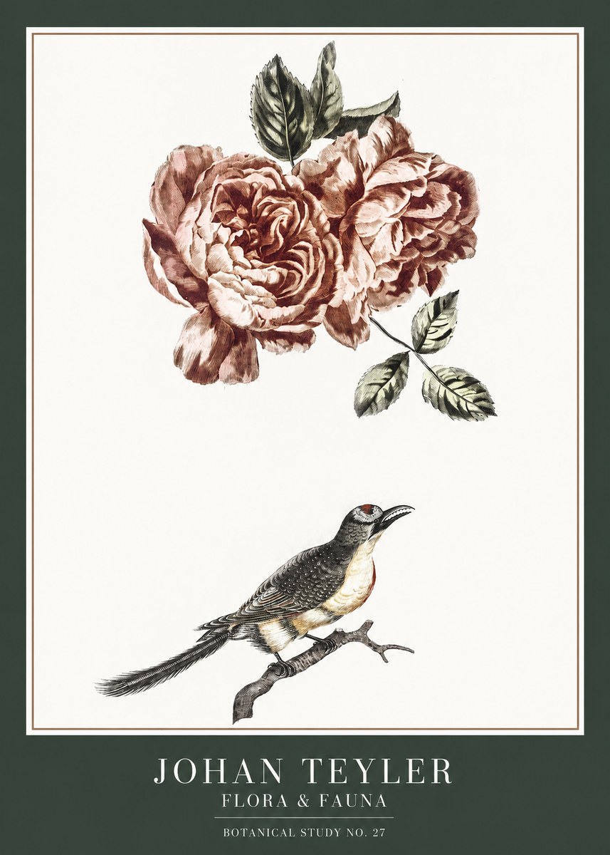 Johan Teyler Rose and Bird II No6 - Affiche