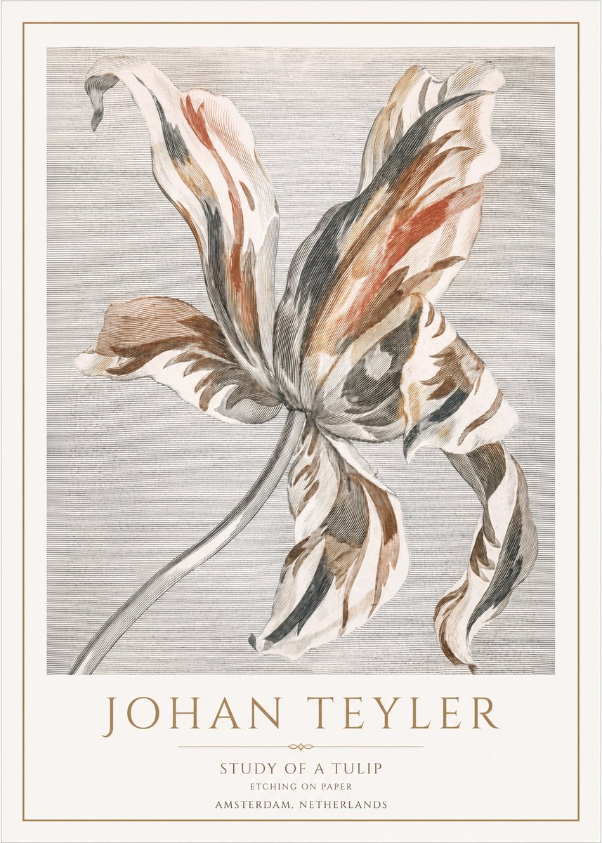 Johan Teyler Study of a Tulip No1 - Affiche