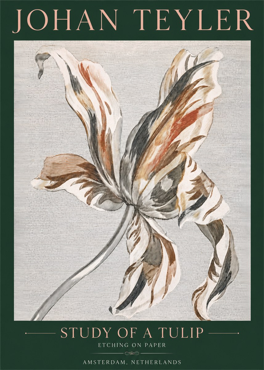 Johan Teyler Study of a Tulip No4 - Affiche