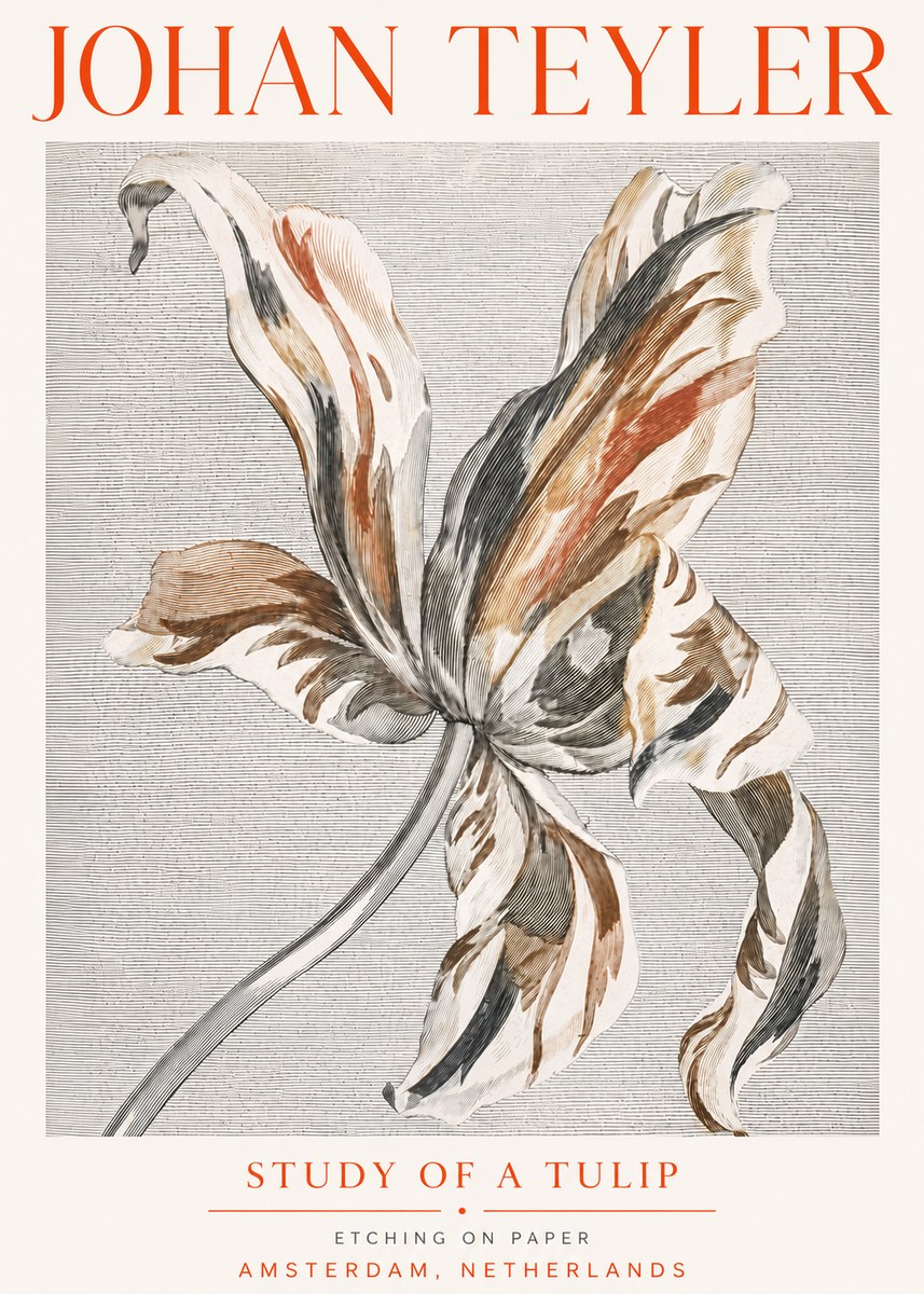 Johan Teyler Study of a Tulip No5 - Affiche