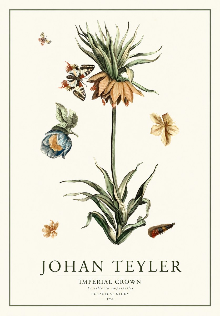 Johan Teyler Crown Imperial No2 - Affiche