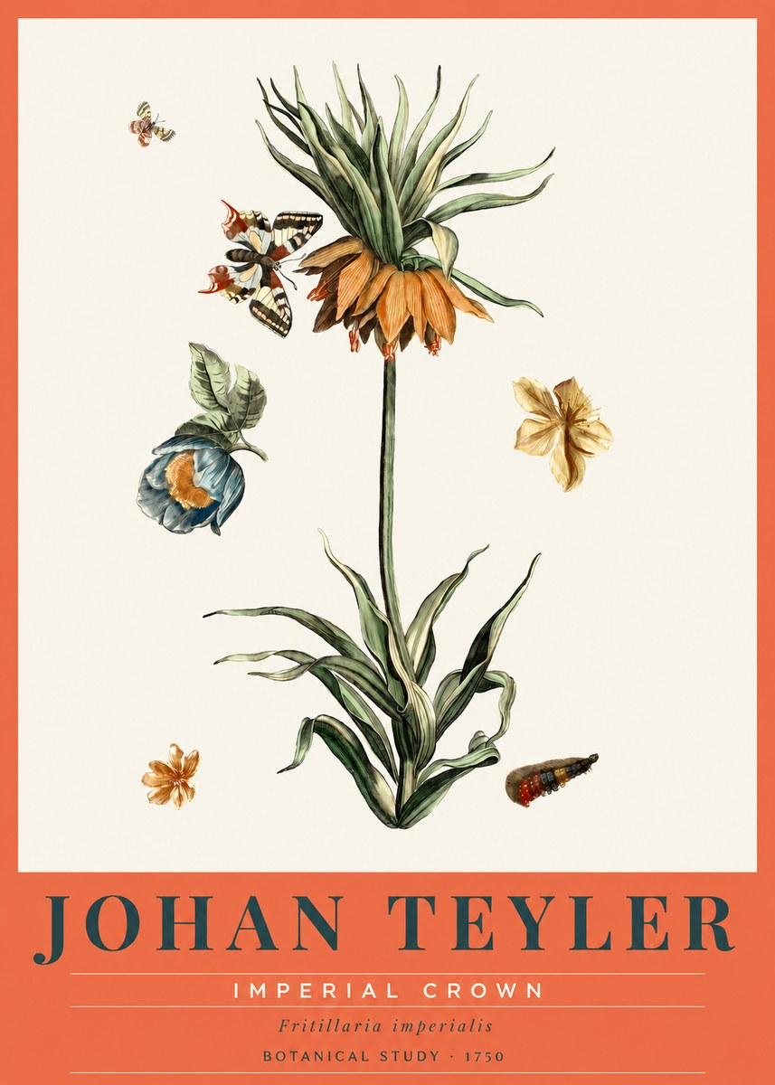 Johan Teyler Crown Imperial No3 - Affiche