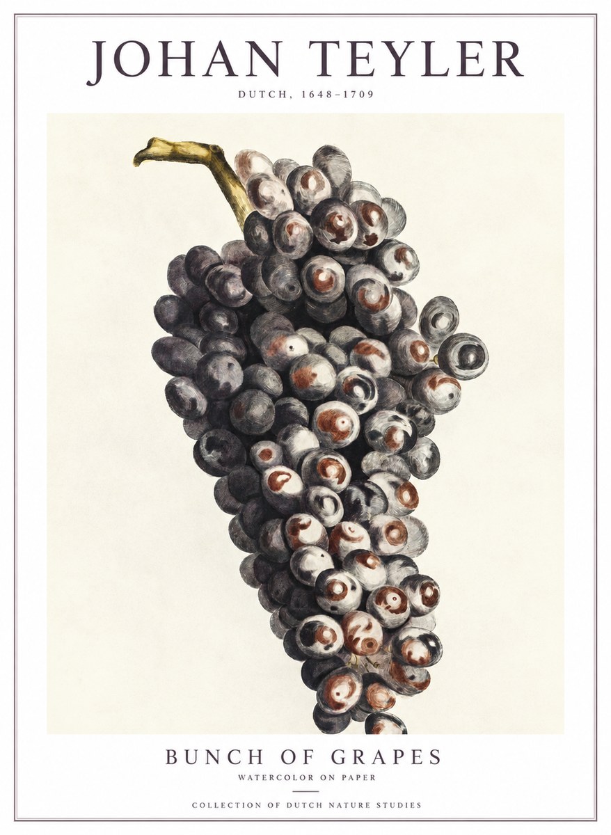 Johan Teyler Bunch of Grapes No1 - Affiche