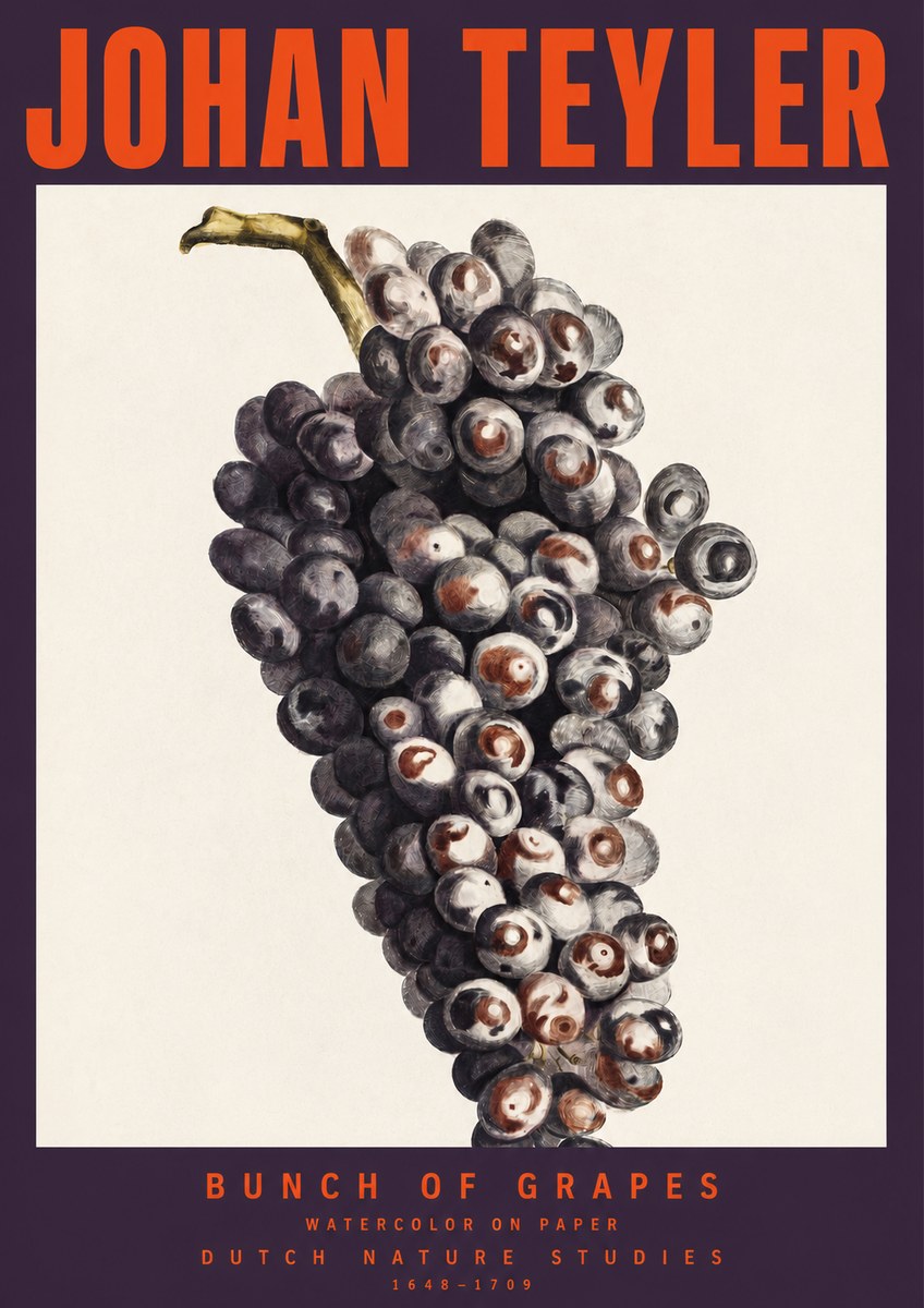 Johan Teyler Bunch of Grapes No2 - Affiche