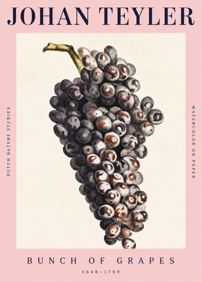 Johan Teyler Bunch of Grapes No4 - Affiche