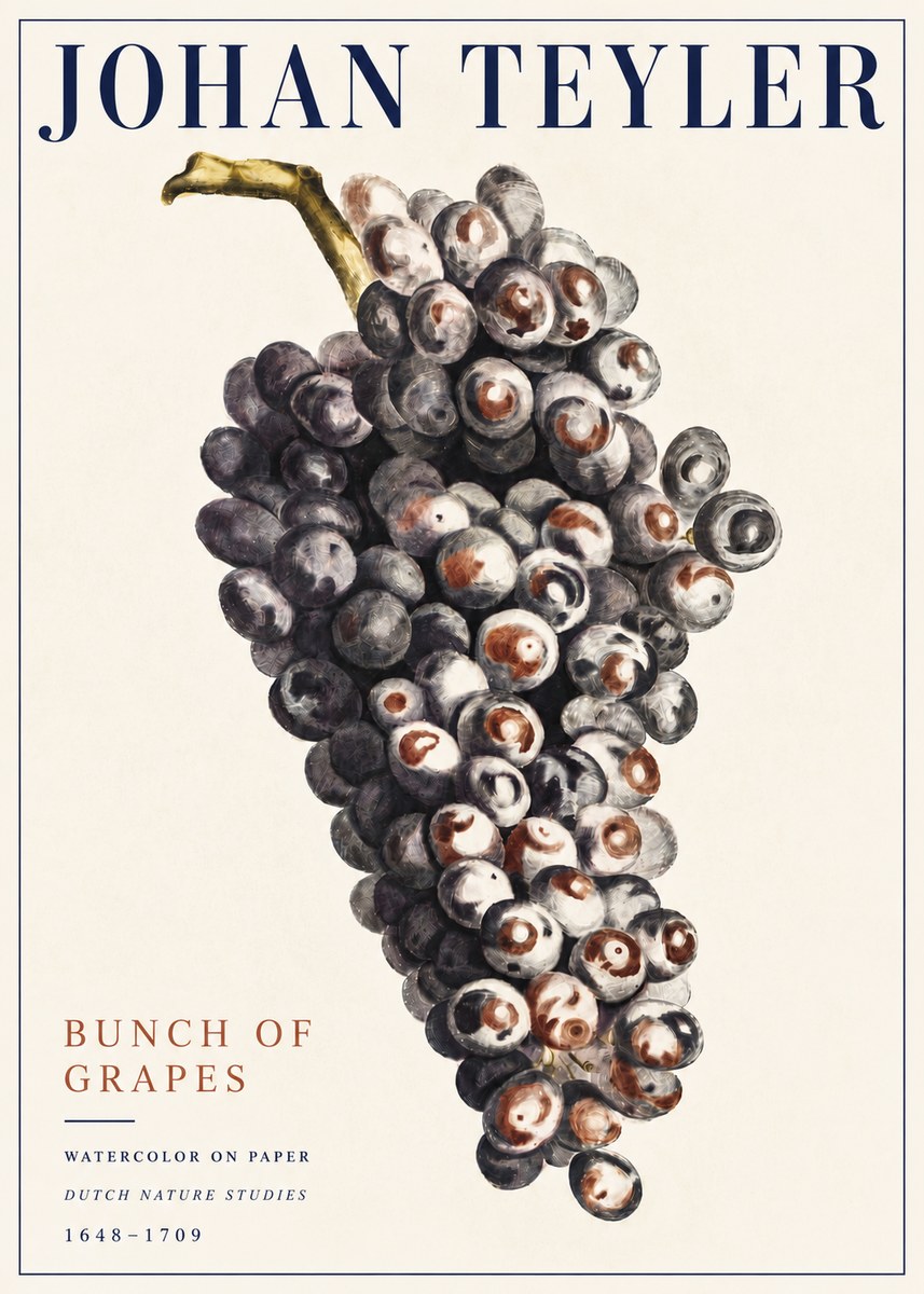 Johan Teyler Bunch of Grapes No5 - Affiche