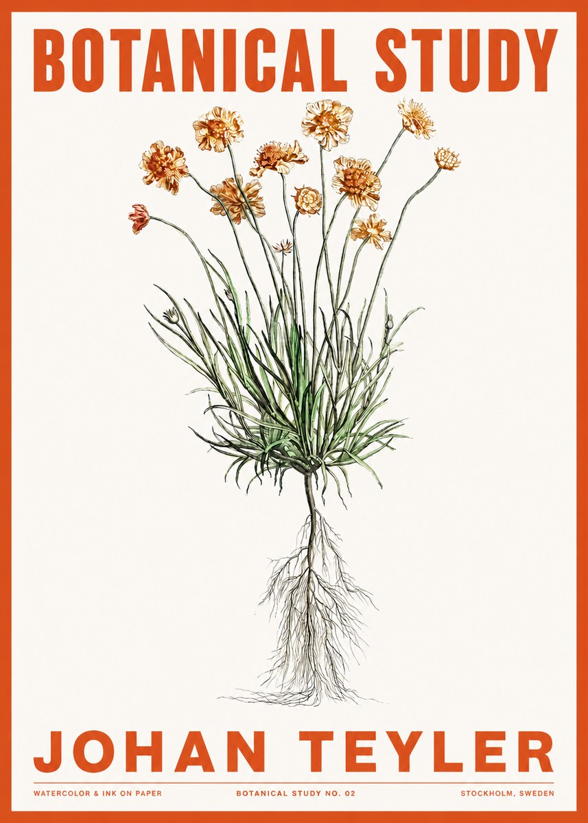 Johan Teyler Botanical Study No. 01 No2 - Affiche