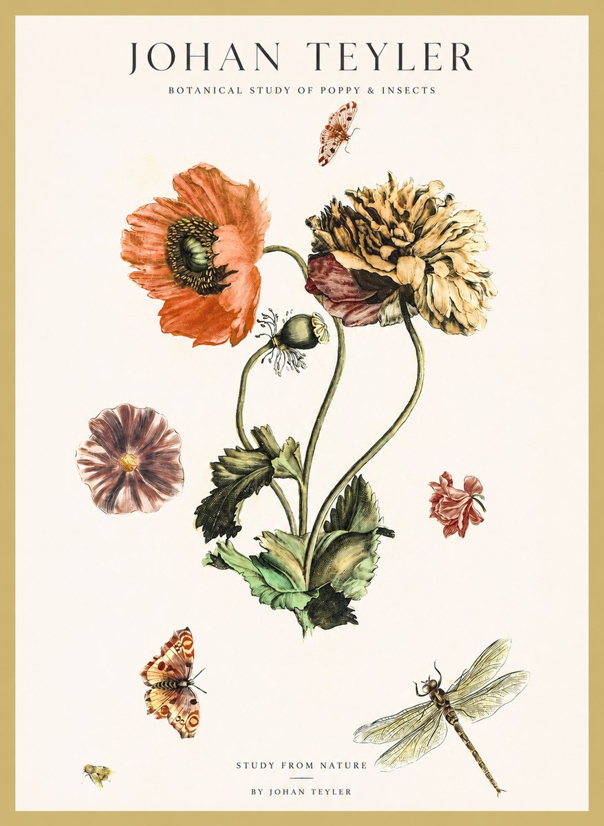 Johan Teyler Botanical Study of Poppy & Insects No1 - Affiche