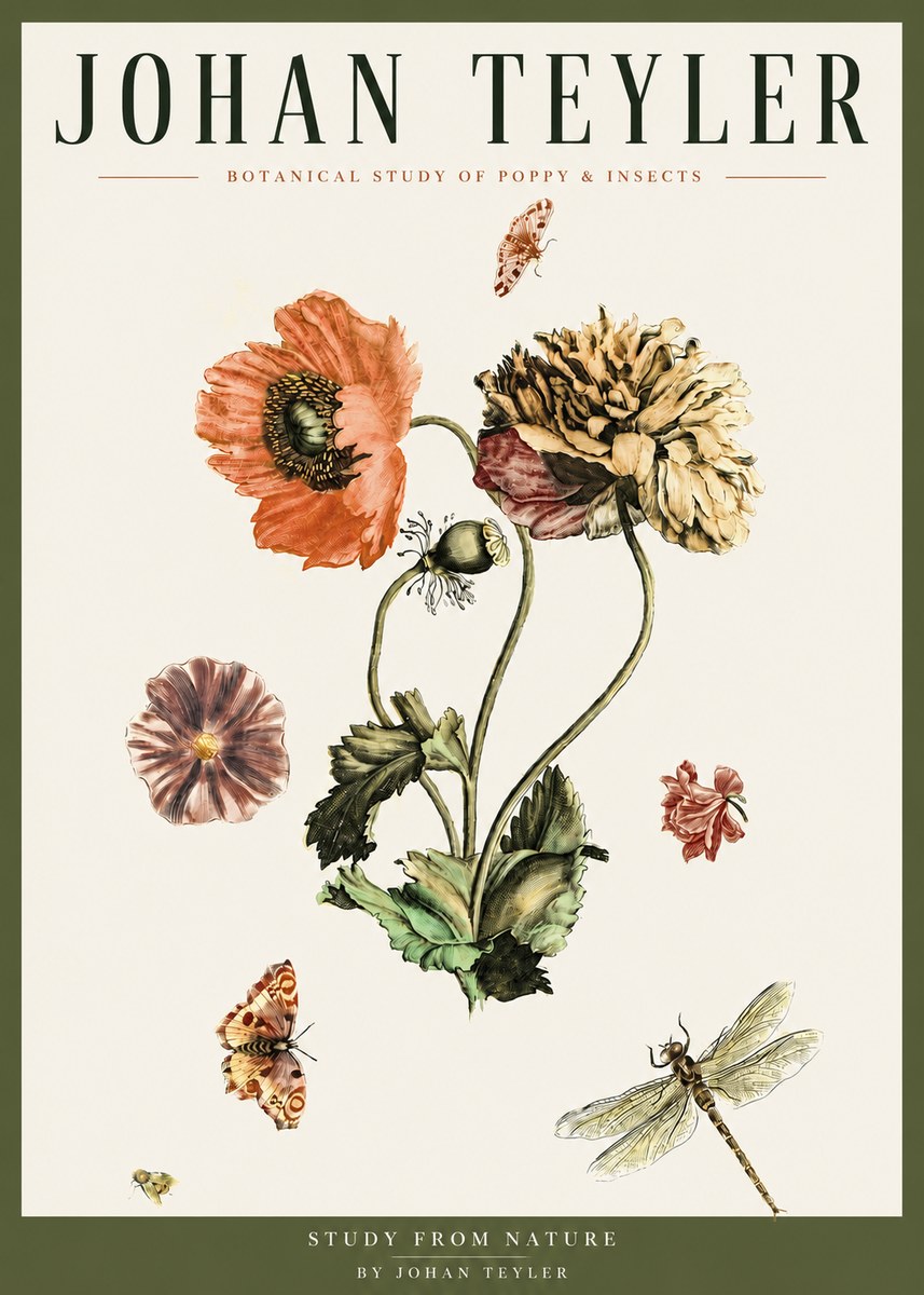 Johan Teyler Botanical Study of Poppy & Insects No3 - Affiche
