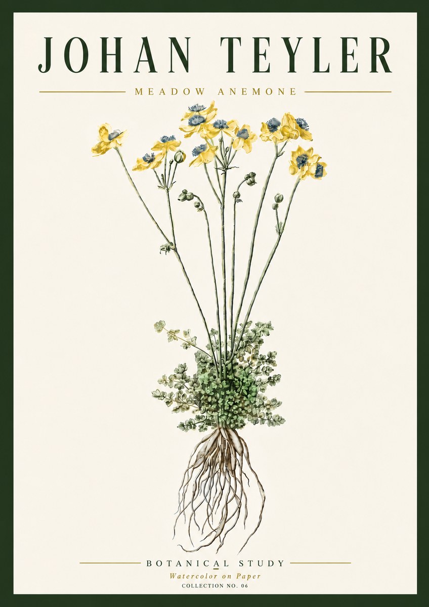 Johan Teyler Meadow Anemone No6 - Affiche