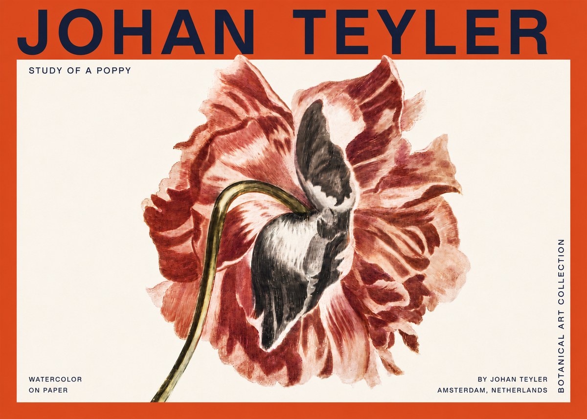 Johan Teyler Study of a Poppy No2 - Affiche
