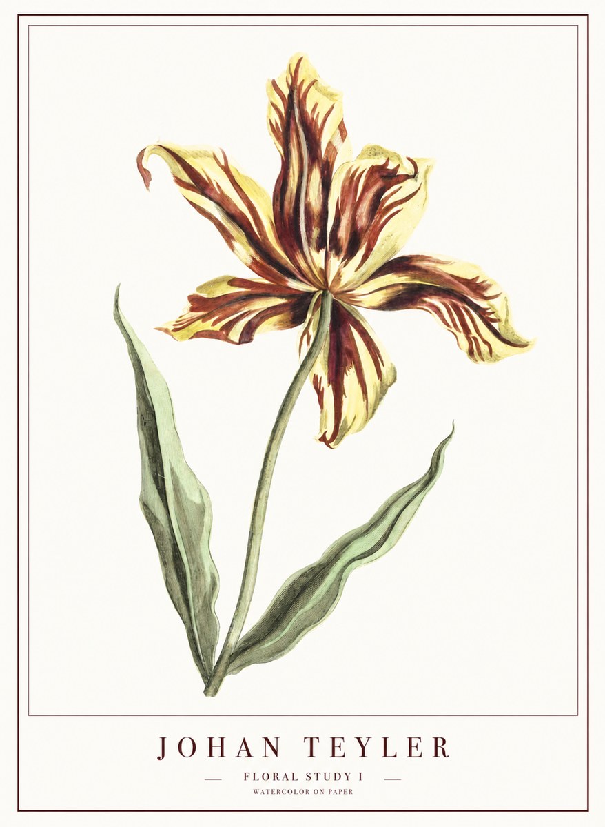 Johan Teyler Floral Study I No1 - Affiche