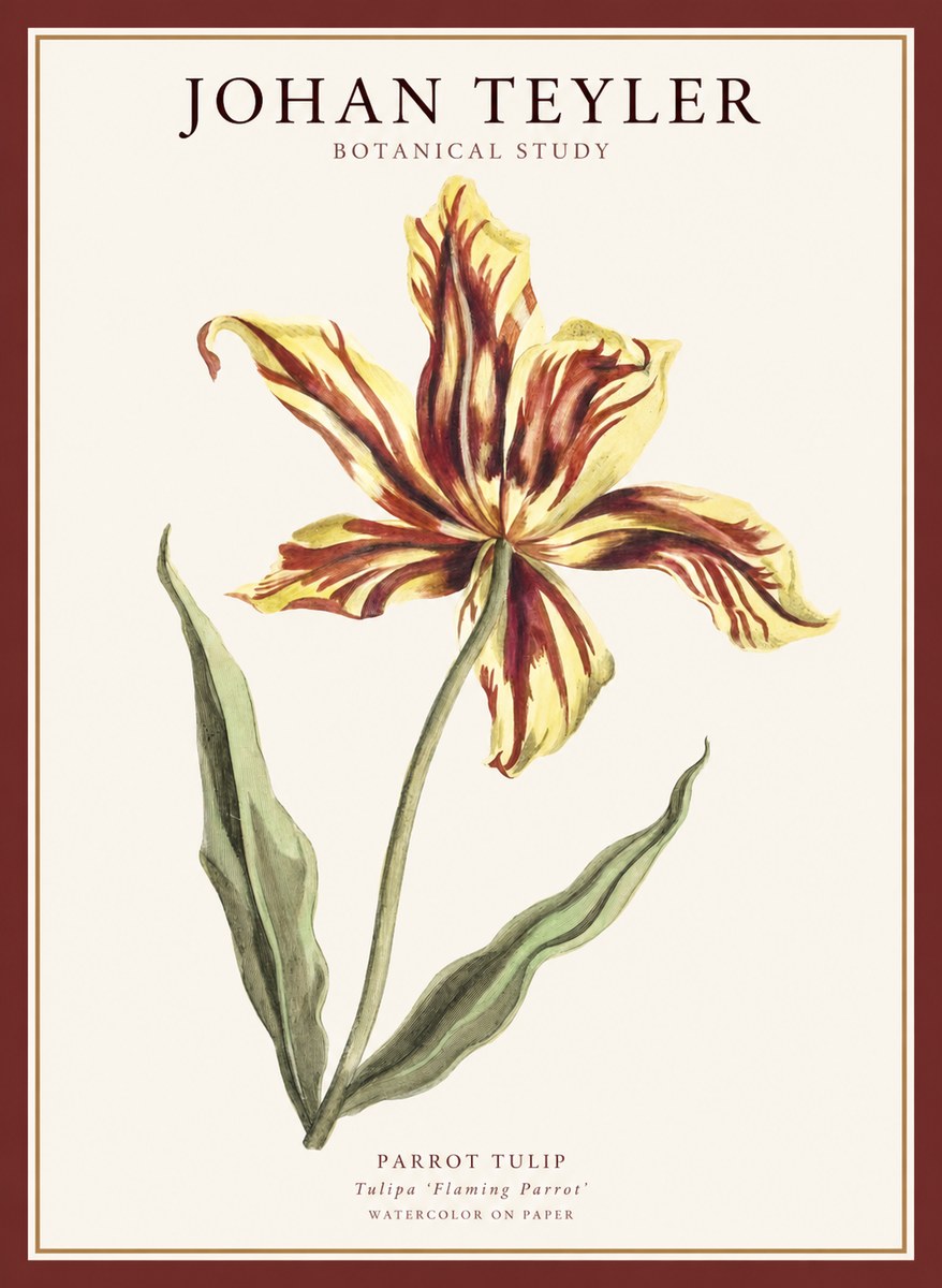 Johan Teyler Floral Study I No5 - Affiche