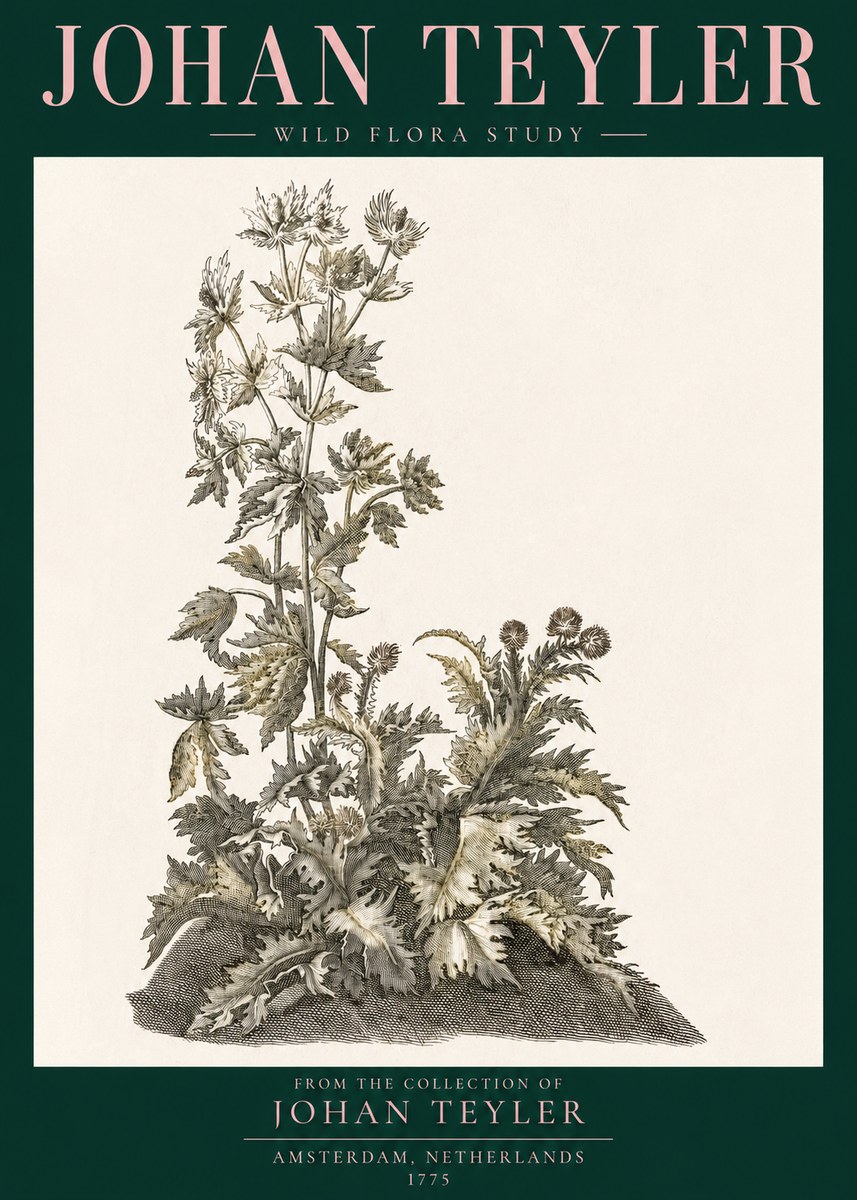 Johan Teyler Wild Flora Study No3 - Affiche