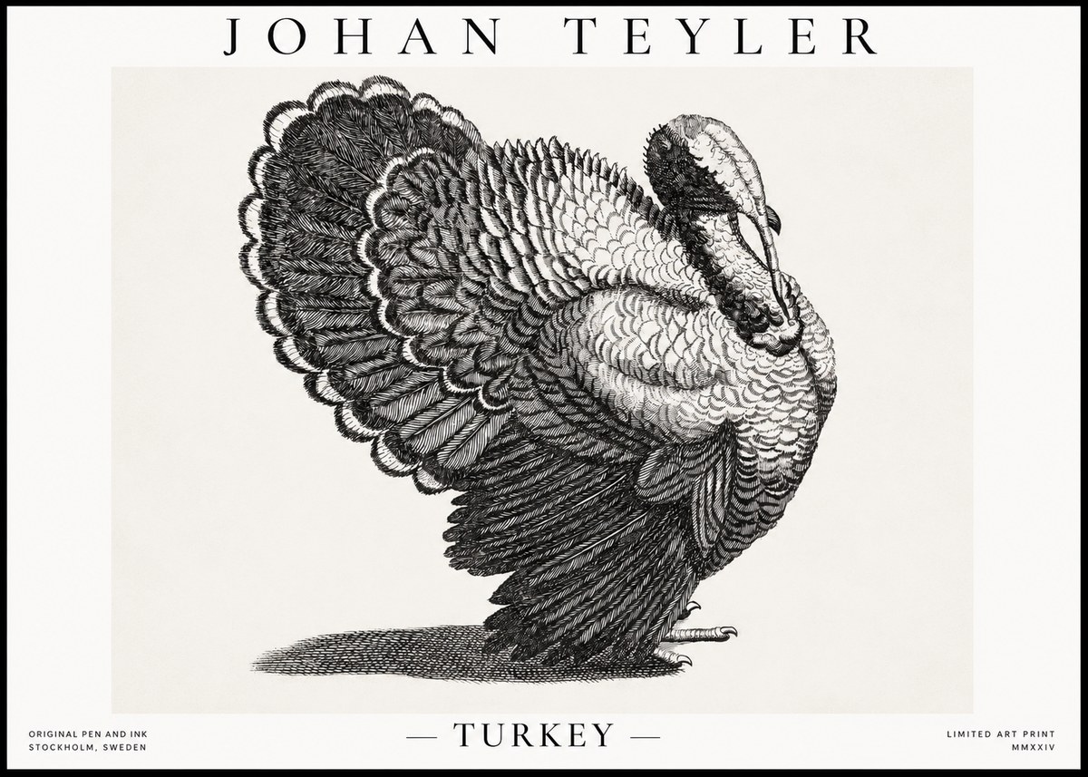 Johan Teyler Turkey No1 - Affiche