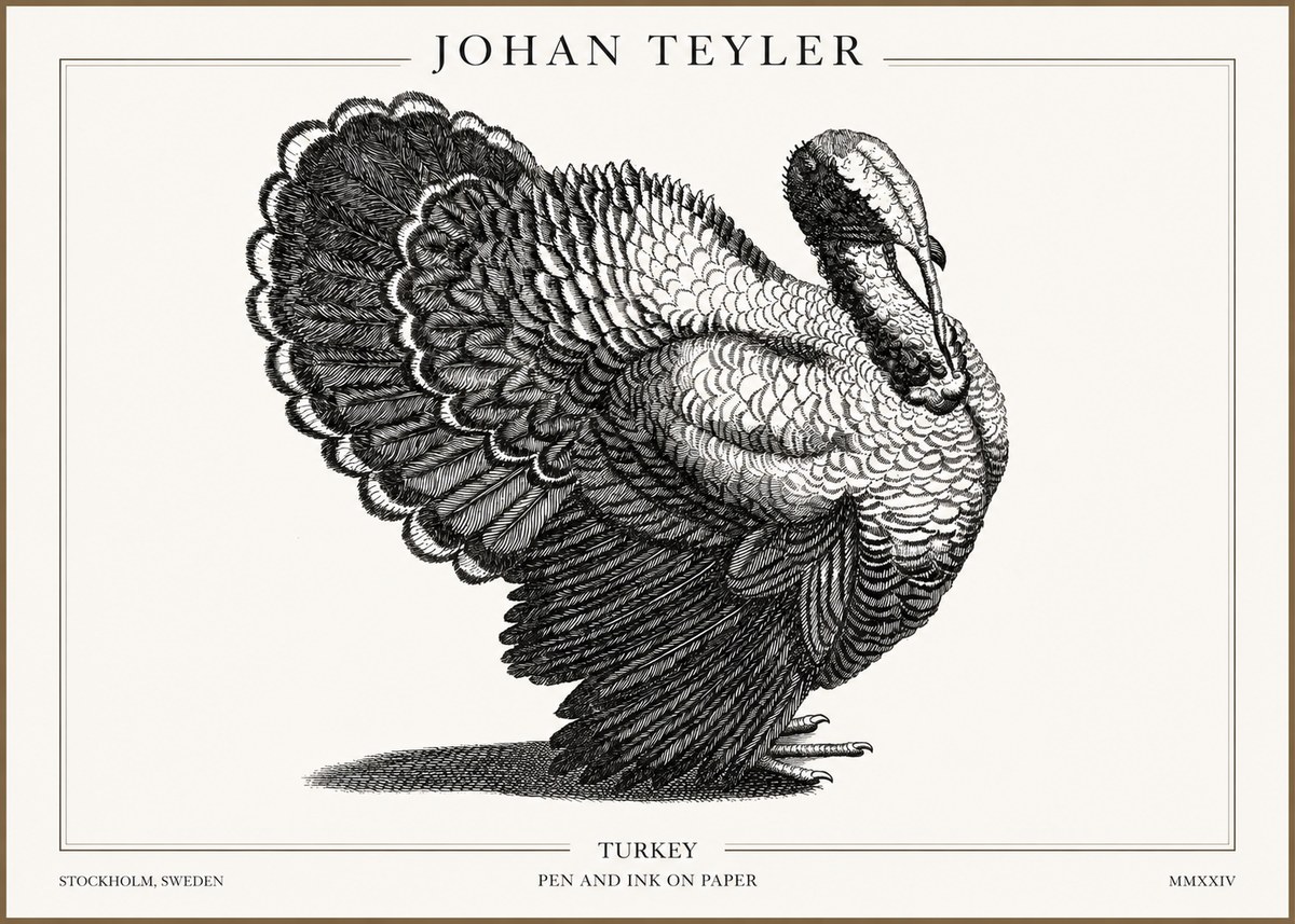 Johan Teyler Turkey No2 - Affiche