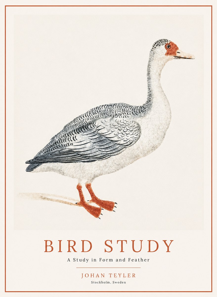 Johan Teyler Goose Study No2 - Affiche