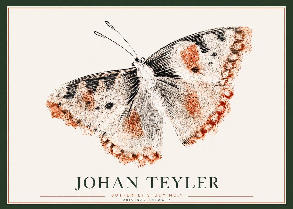 Johan Teyler Butterfly Study No.1 No3 - Affiche