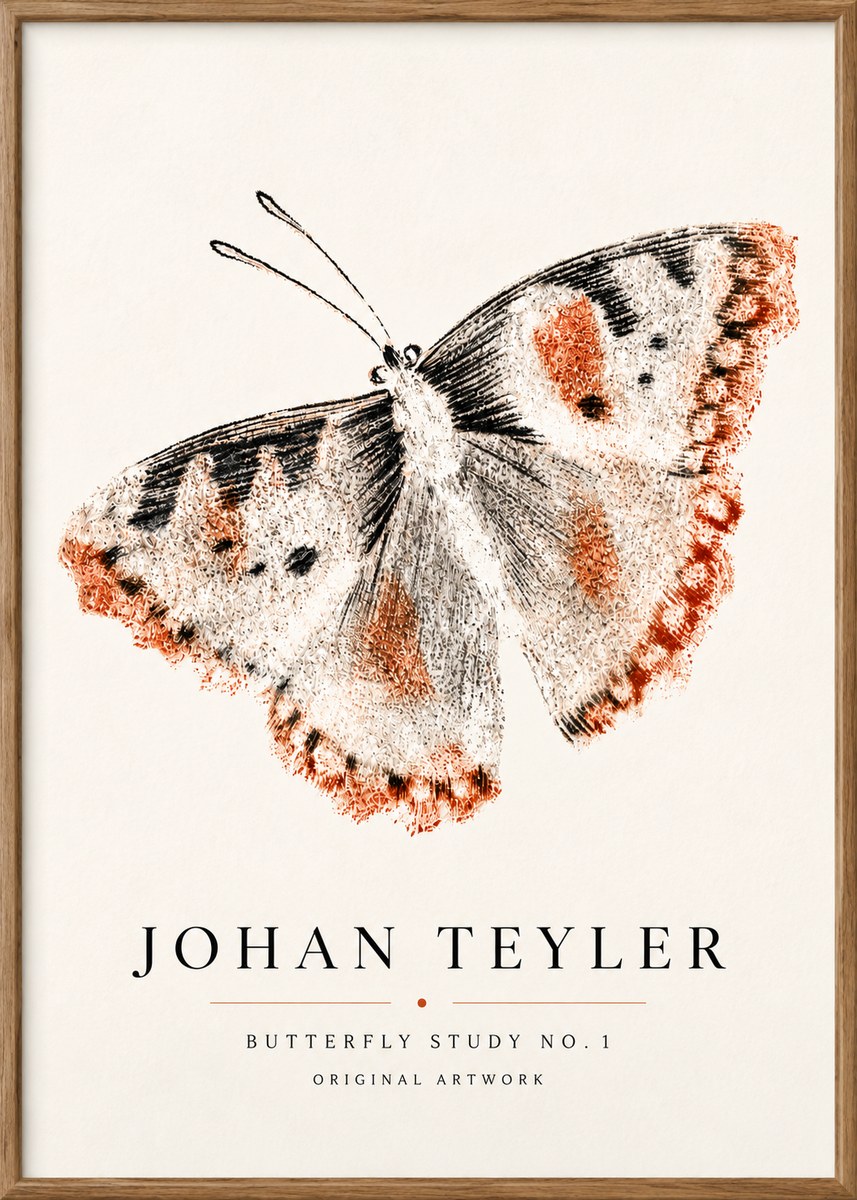 Johan Teyler Butterfly Study No.1 No5 - Affiche