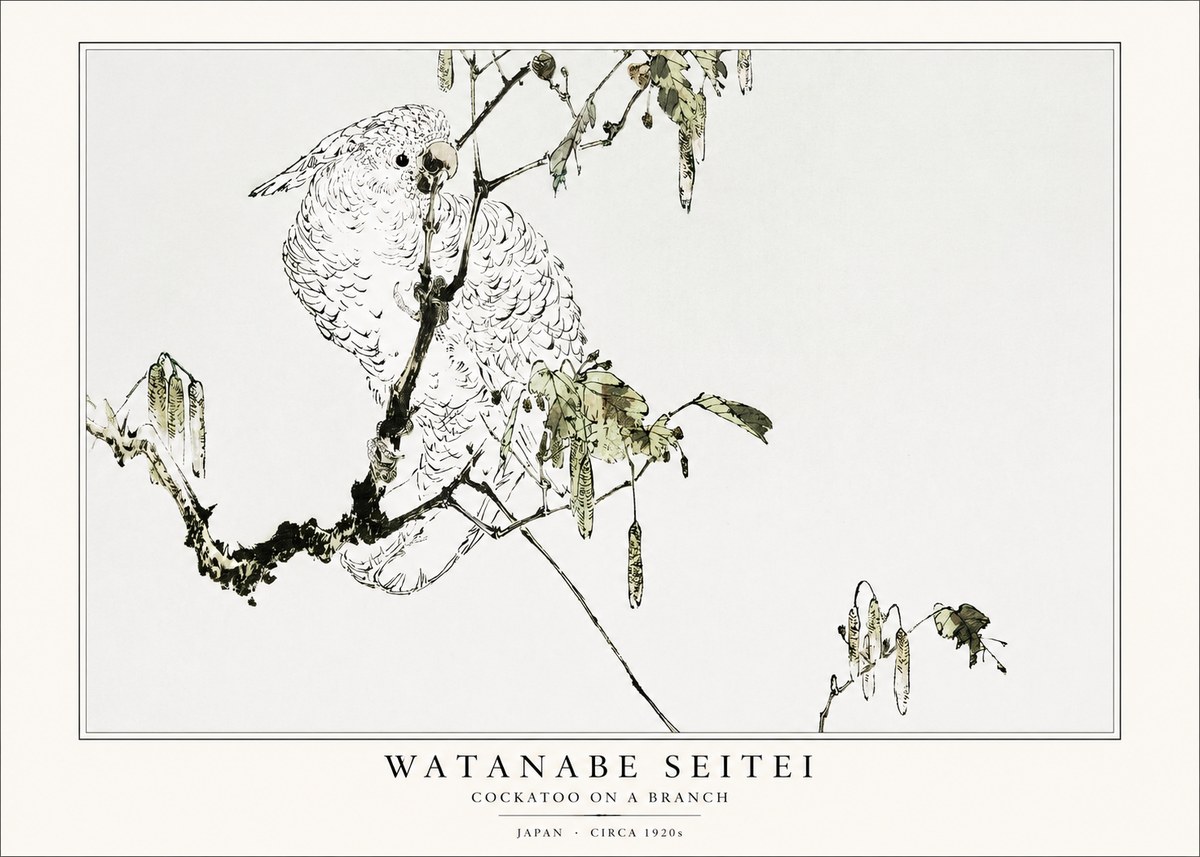 Watanabe Seitei Cockatoo on a Branch No1 - Affiche