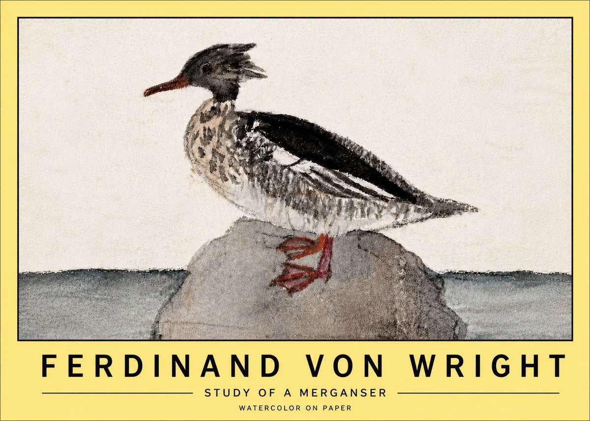 Ferdinand von Wright Study of a Merganser No5 - Affiche